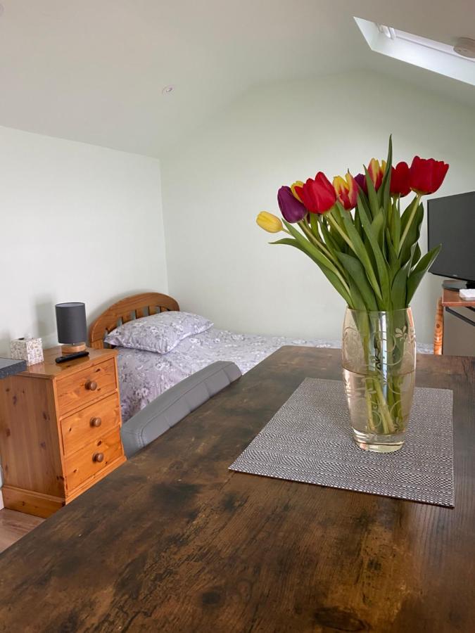 Ferienwohnung Cosy 1 Bed Garden Annexe Colchester Exterior foto